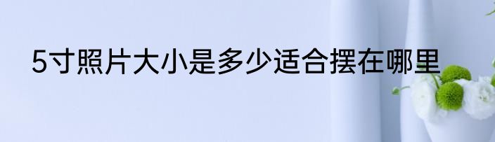 5寸照片大小是多少适合摆在哪里