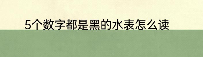 5个数字都是黑的水表怎么读