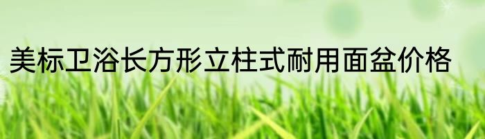 美标卫浴长方形立柱式耐用面盆价格