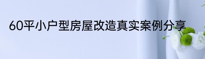 60平小户型房屋改造真实案例分享