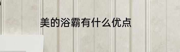 美的浴霸有什么优点