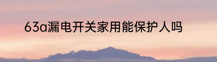 63a漏电开关家用能保护人吗