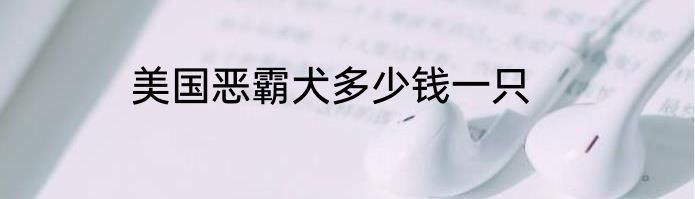 美国恶霸犬多少钱一只