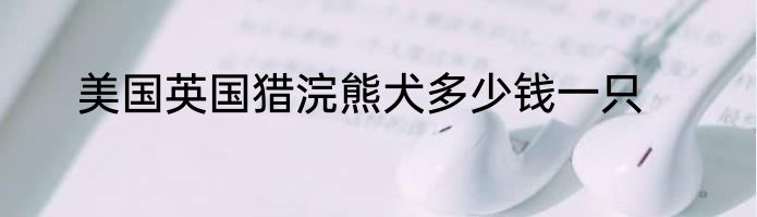 美国英国猎浣熊犬多少钱一只