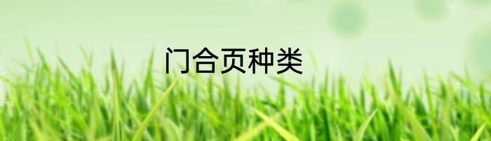 门合页种类