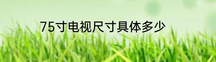 75寸电视尺寸具体多少