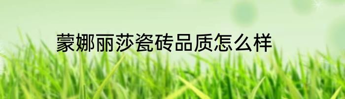 蒙娜丽莎瓷砖品质怎么样