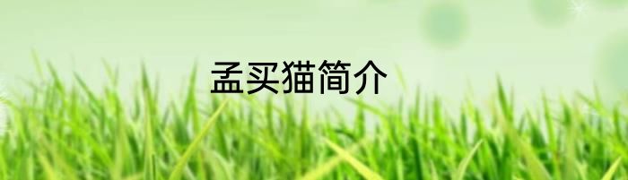 孟买猫简介