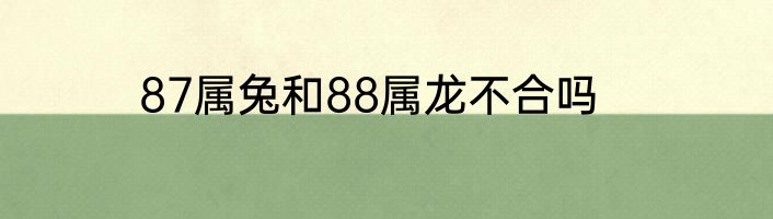 87属兔和88属龙不合吗