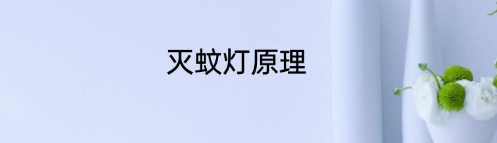 灭蚊灯原理