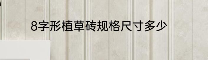 8字形植草砖规格尺寸多少