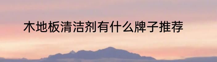 木地板清洁剂有什么牌子推荐