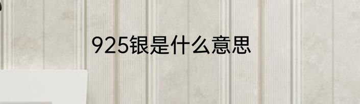 925银是什么意思