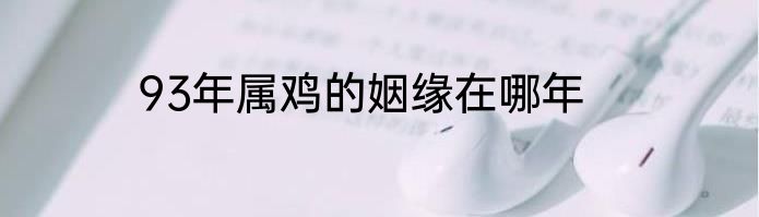 93年属鸡的姻缘在哪年