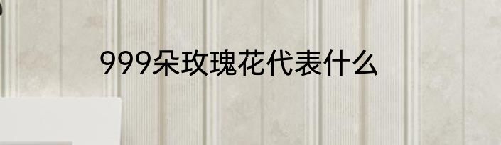 999朵玫瑰花代表什么
