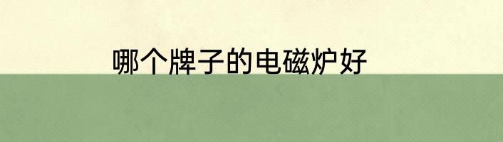 哪个牌子的电磁炉好