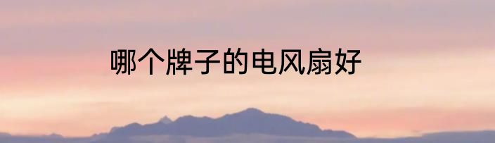哪个牌子的电风扇好