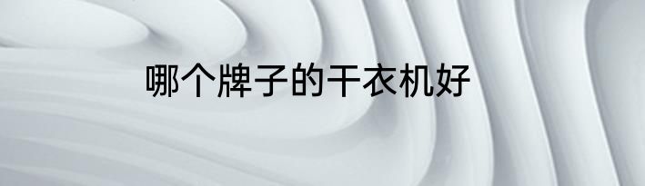 哪个牌子的干衣机好