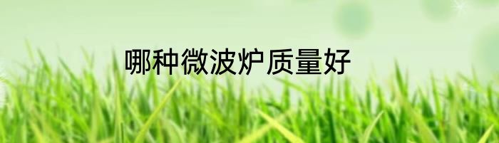 哪种微波炉质量好