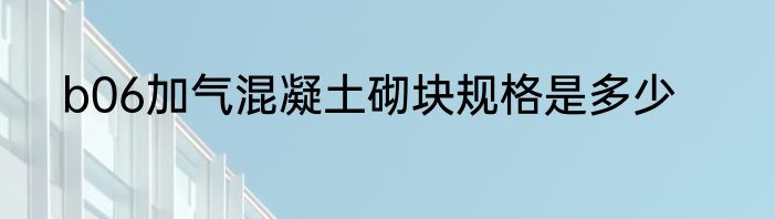 b06加气混凝土砌块规格是多少