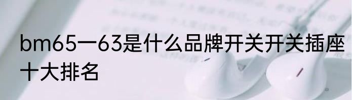 bm65一63是什么品牌开关开关插座十大排名