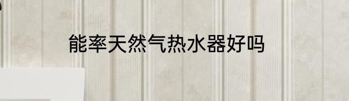 能率天然气热水器好吗