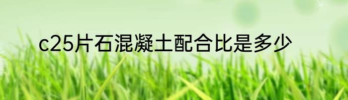 c25片石混凝土配合比是多少