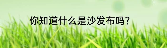 你知道什么是沙发布吗？