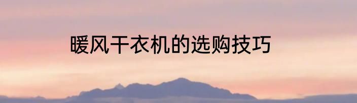 暖风干衣机的选购技巧