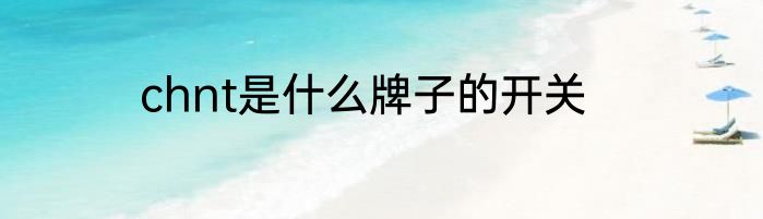 chnt是什么牌子的开关