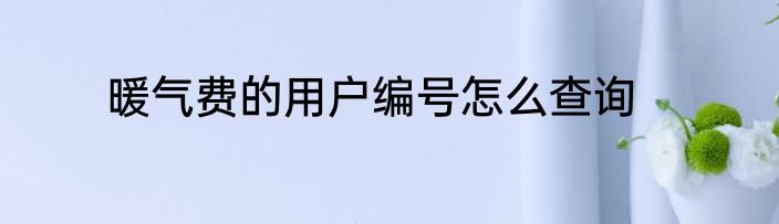 暖气费的用户编号怎么查询