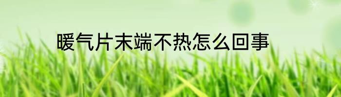 暖气片末端不热怎么回事