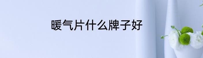 暖气片什么牌子好