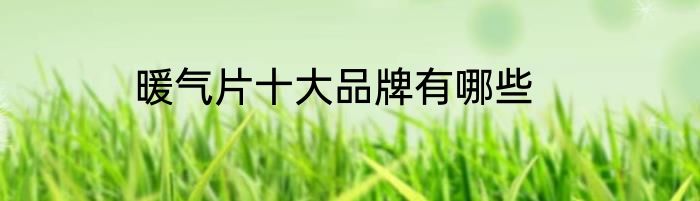 暖气片十大品牌有哪些