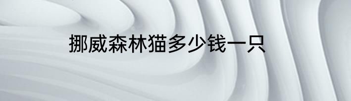 挪威森林猫多少钱一只