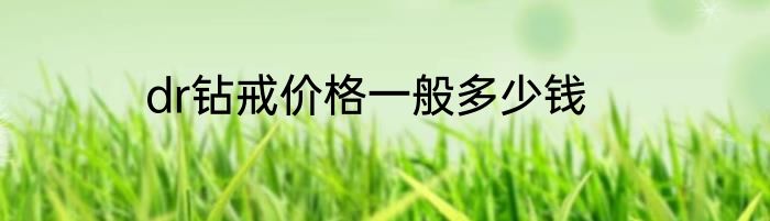 dr钻戒价格一般多少钱