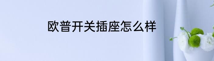 欧普开关插座怎么样