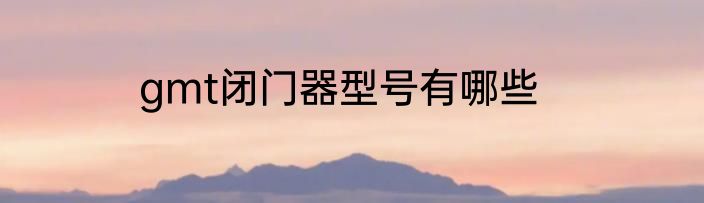 gmt闭门器型号有哪些