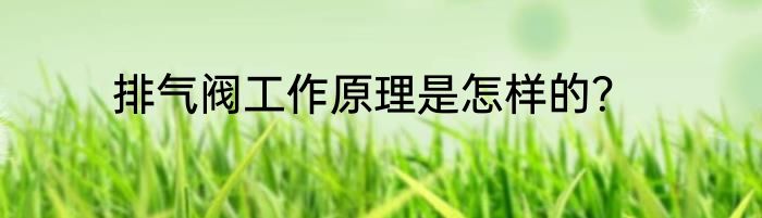 排气阀工作原理是怎样的？