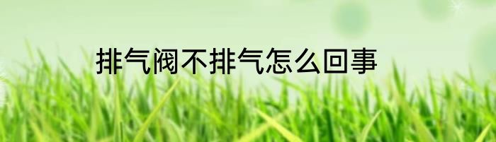 排气阀不排气怎么回事