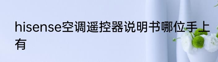 hisense空调遥控器说明书哪位手上有