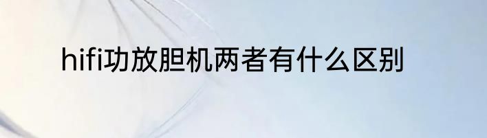 hifi功放胆机两者有什么区别