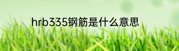 hrb335钢筋是什么意思