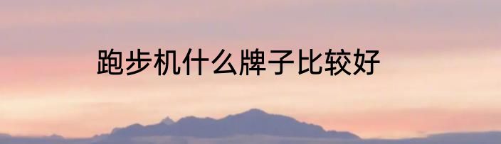 跑步机什么牌子比较好