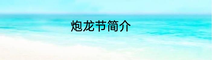炮龙节简介