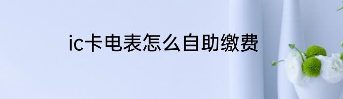 ic卡电表怎么自助缴费