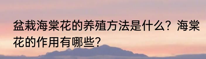 盆栽海棠花的养殖方法是什么？海棠花的作用有哪些？