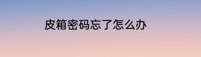 皮箱密码忘了怎么办