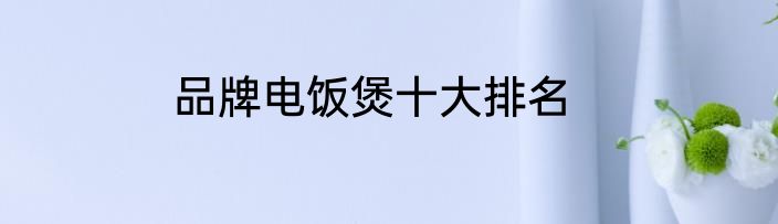 品牌电饭煲十大排名