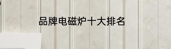 品牌电磁炉十大排名